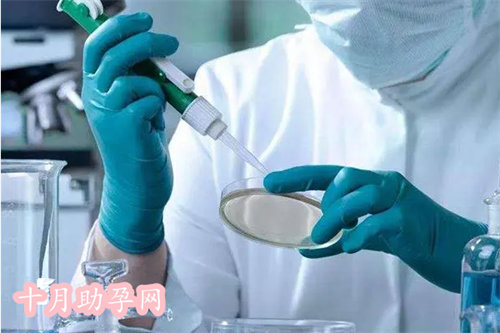 杭州中医助孕中心排名第一