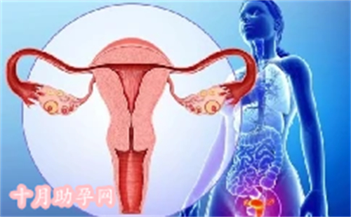 长沙私立助孕医院：解决不孕不育问题的专业机构