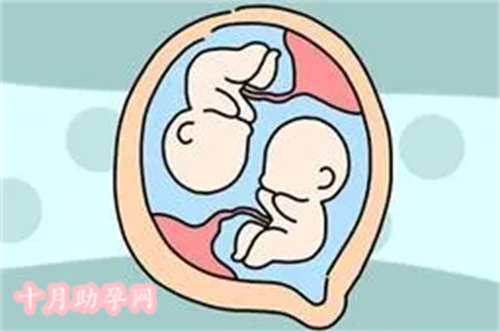 试管婴国内和日本_在日本做试管大概多少钱