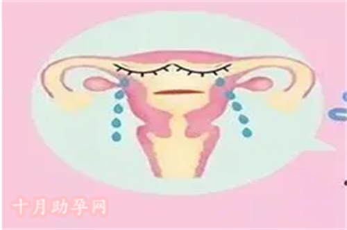 郑州三代试管助孕服务机构：为您带来更好的生育体验