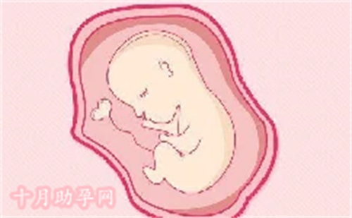 馨宝国际助孕中心在广州吗