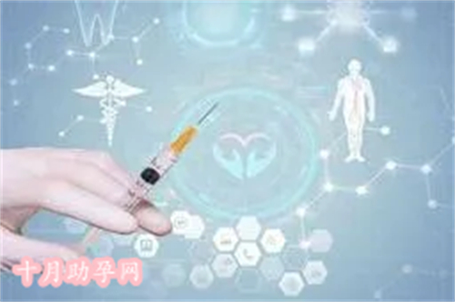 上海中信助孕私人定制