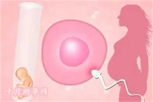 国内试管婴儿起源_中国第一例试管婴儿诞生在什么时候