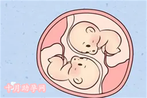 北京供卵机构排名前十：为您提供最优质的助孕服务