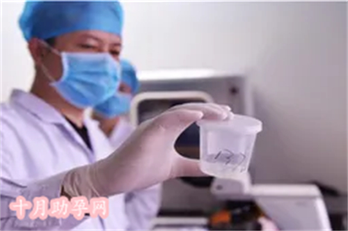 温州医院供卵：为不孕家庭带来希望