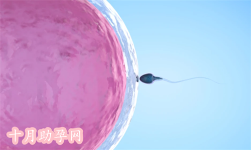 香港私立助孕医院排名榜