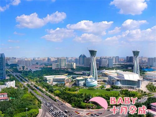 上海供卵三代试管费用，上海三代试管婴儿怎么样